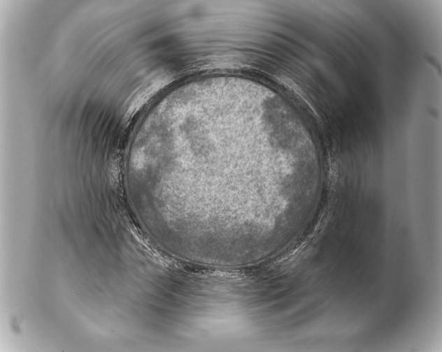 X0000102280874200808151925