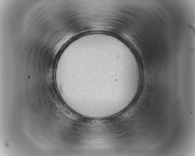 X0000102280875200808151925