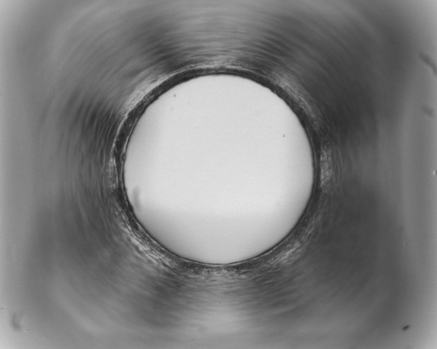 X0000102280876200808151925