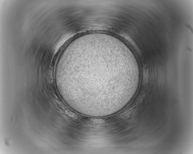 X0000102280878200808151925