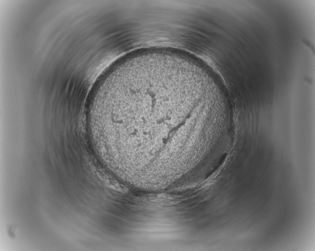 X0000102280879200808151925