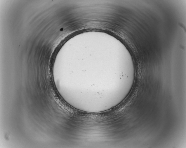 X0000102280880200808151925