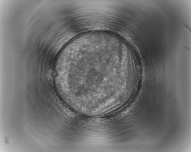 X0000102280881200808151925