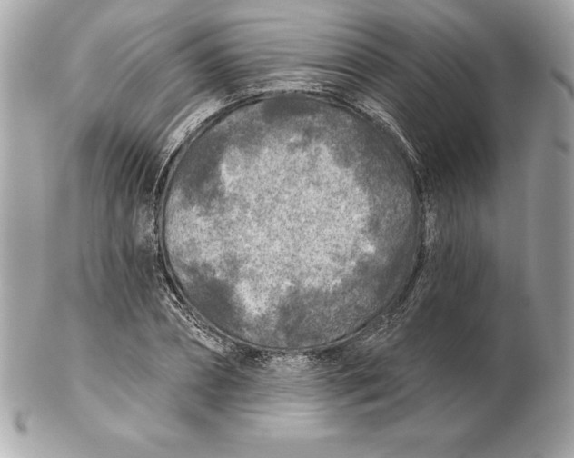 X0000102280882200808151925