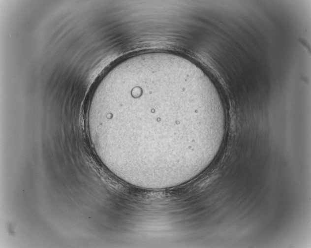 X0000102280883200808151925