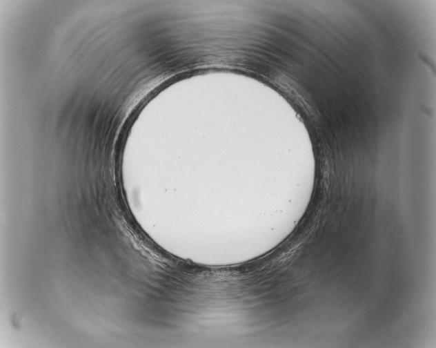 X0000102280884200808151925