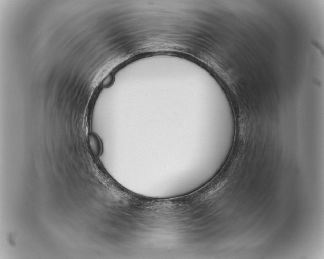 X0000102280885200808151925