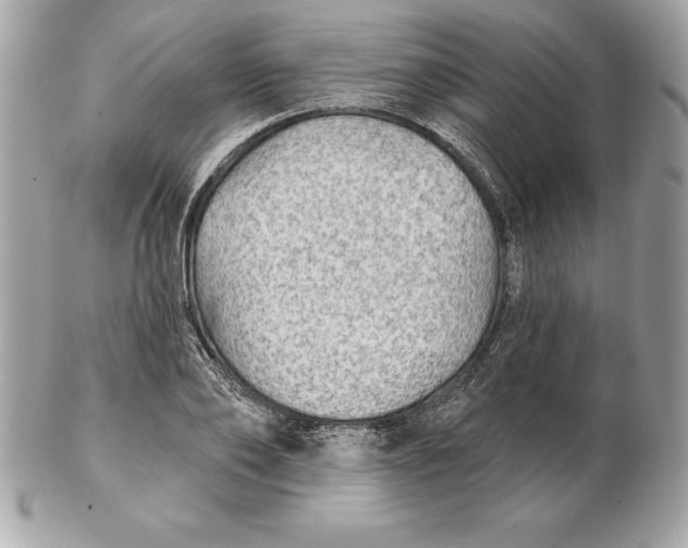 X0000102280886200808151925