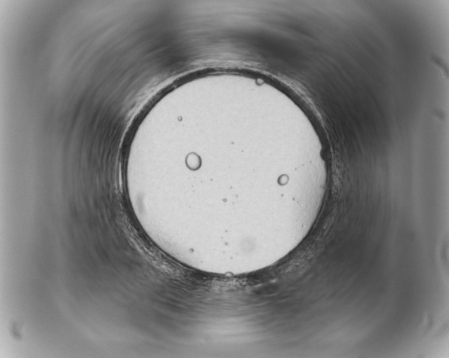 X0000102280887200808151925