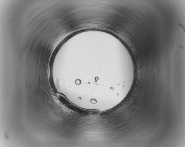 X0000102280888200808151925