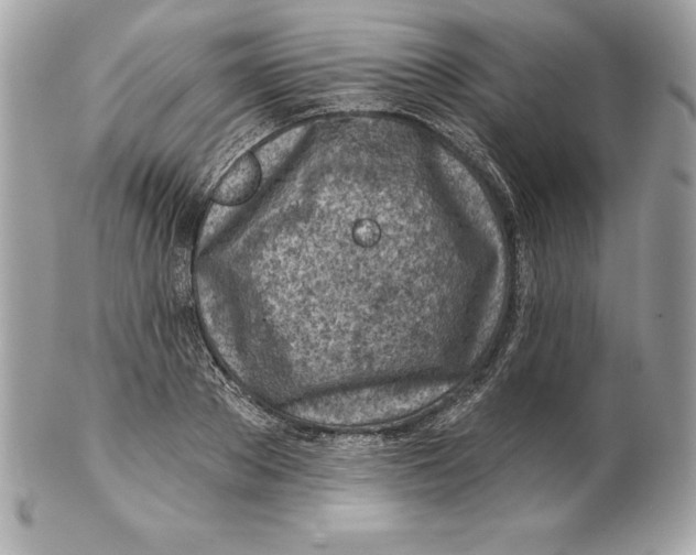 X0000102280889200808151925