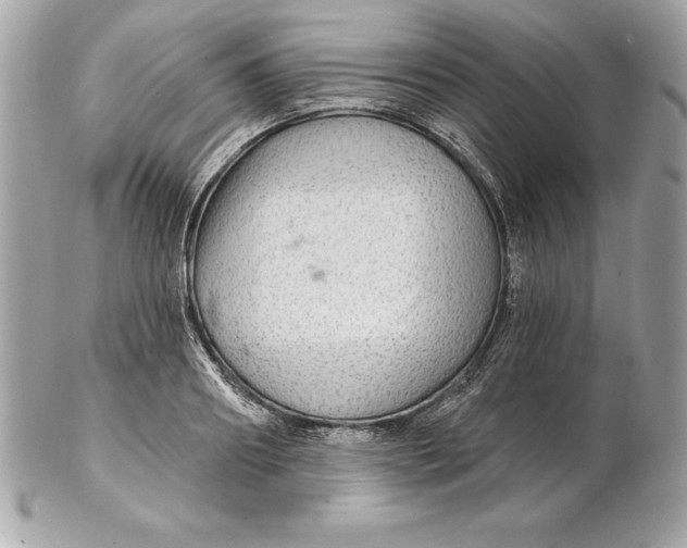 X0000102280890200808151925