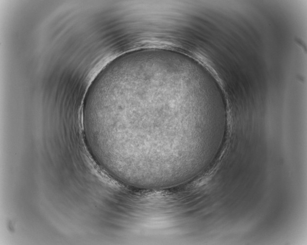 X0000102280891200808151925