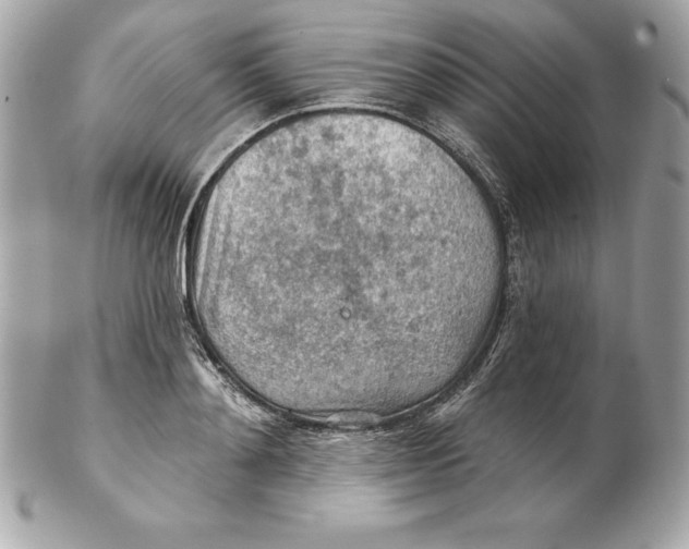 X0000102280892200808151925