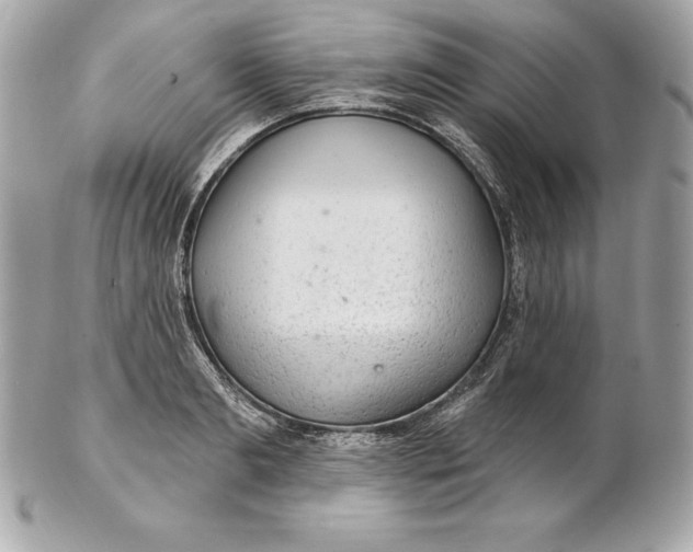 X0000102280893200808151925