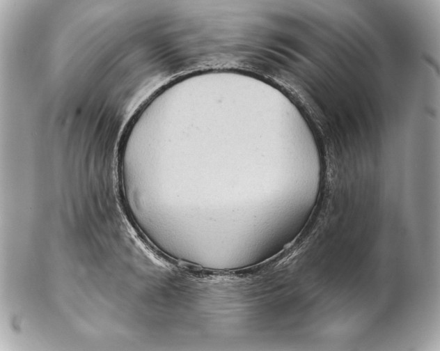 X0000102280894200808151925