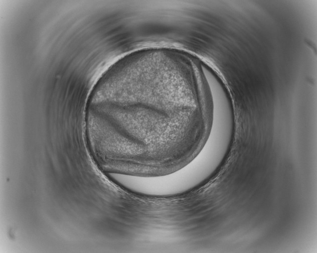 X0000102280895200808151925