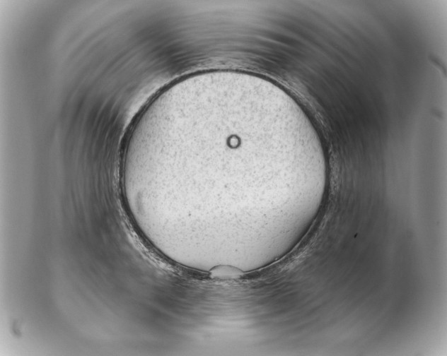 X0000102280896200808151925