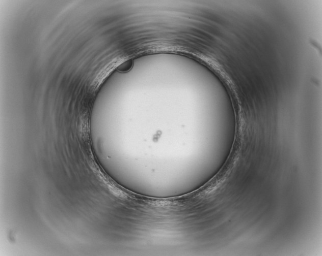 X0000102280897200808151925