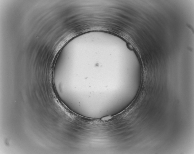 X0000102280898200808151925