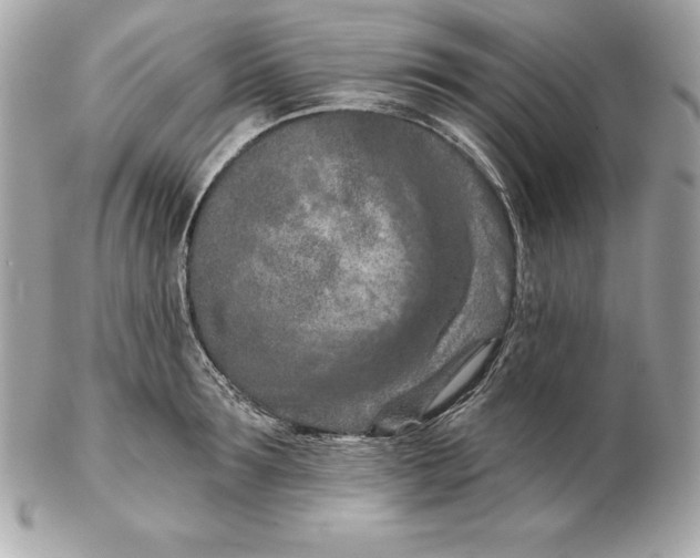 X0000102280899200808151925