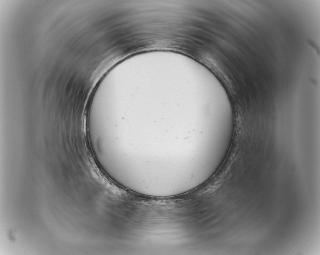 X0000102280900200808151925