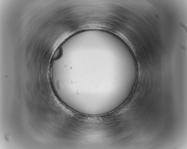 X0000102280901200808151925