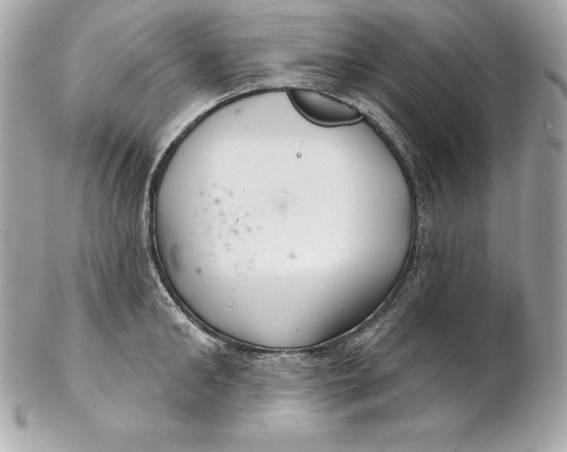 X0000102280902200808151925