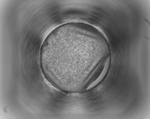 X0000102280903200808151925