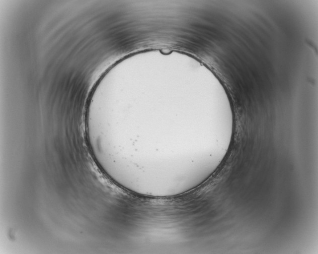 X0000102280904200808151925