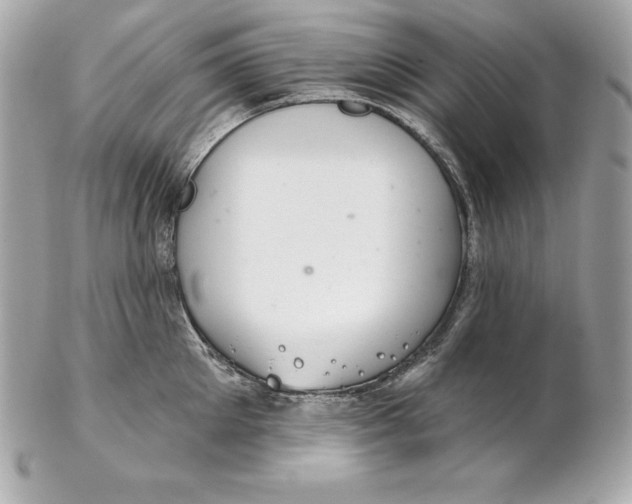 X0000102280905200808151925