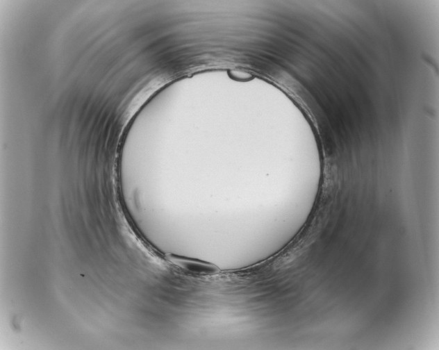 X0000102280906200808151925