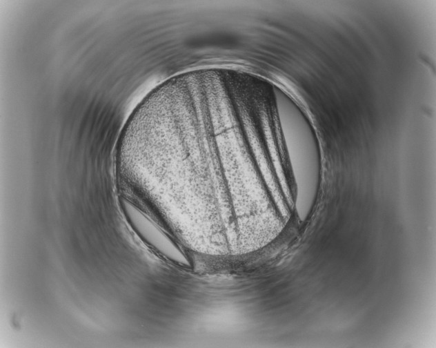 X0000102280907200808151925