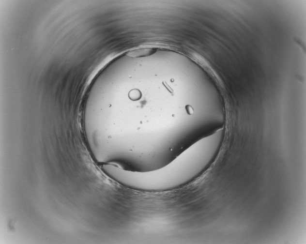 X0000102280908200808151925