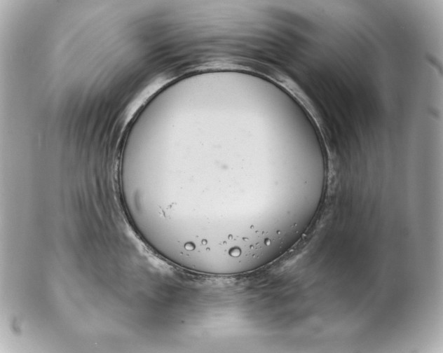 X0000102280909200808151925