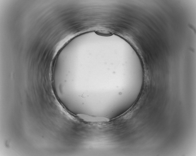 X0000102280910200808151925