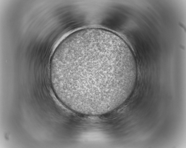 X0000102280911200808151925