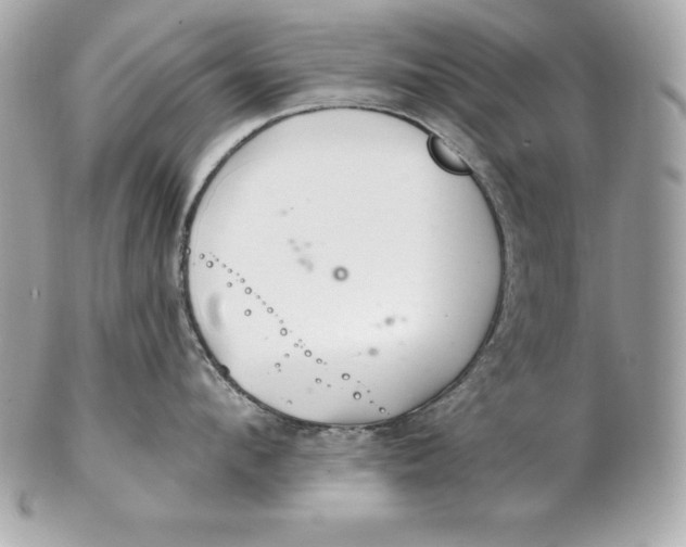 X0000102280912200808151925