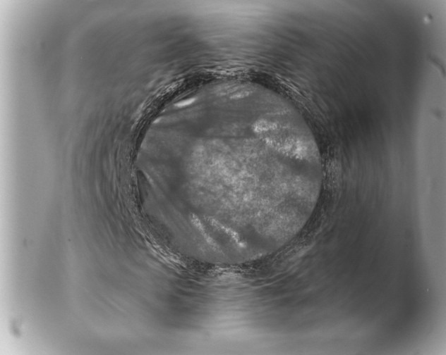 X0000102280913200808151924