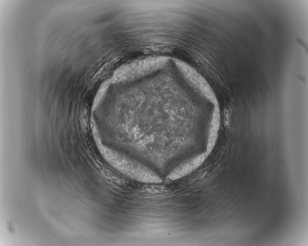 X0000102280915200808151924