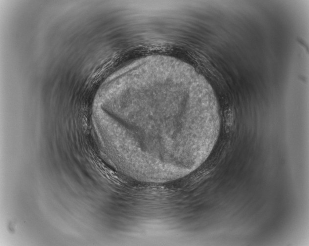 X0000102280916200808151924