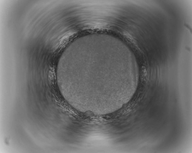 X0000102280918200808151924