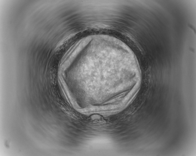 X0000102280919200808151924