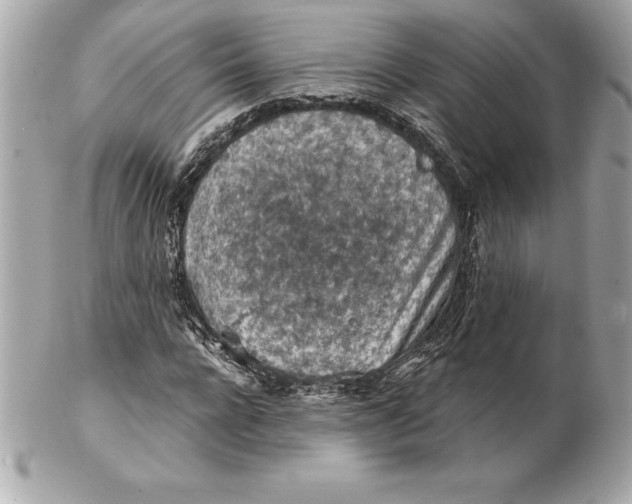 X0000102280920200808151924