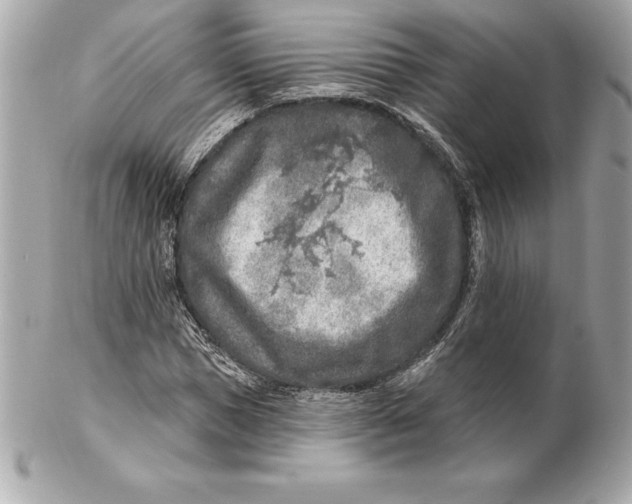 X0000102280921200808151924