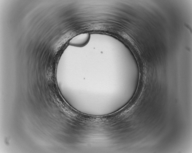 X0000102280922200808151924