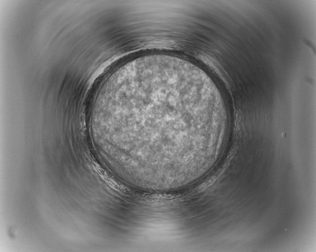 X0000102280923200808151924