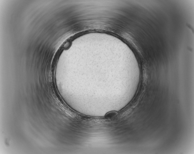 X0000102280924200808151924