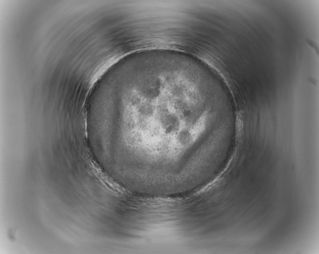 X0000102280925200808151924