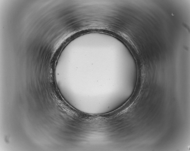 X0000102280926200808151924